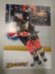 Plakt A2 Loui Eriksson / Corey Perry