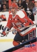 1993/1994 Leaf / Dave Poulin