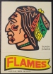 1973-74 Topps Team Stickers #6 Chicago Blackhawks / Flames