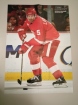 Plakt A2 Roberto Luongo / Nicklas Lidstrom 