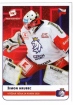 2020 Stick with czech hockey #42 Hrubec imon