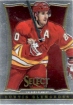 2013-14 Select #123 Curtis Glencross