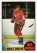 1987-88 O-Pee-Chee #67 Gerald Gallant