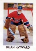 1987/1988 O-Pee-Chee Minis / Brian Hayward