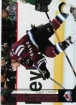 2006-07 Upper Deck #49 Milan Hejduk