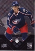 2008-09 Black Diamond #55 Nikolai Zherdev