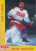 1995-96 Czech APS Extraliga #TOP CARDS Petr Nedvd RARITA !!!