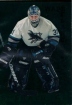 1995-96 Parkhurst International Emerald Ice #189 Wade Flaherty