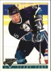 1993-94 OPC Premier #432 Terry Yake