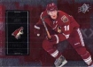 2009/2010 SPx / Shane Doan