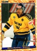 1995 Swedish Globe World Championships #19 Peter Popovic