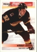 1994-95 OPC Premier #47 Murray Craven