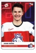 2020 Stick with czech hockey #20 Raka Adam