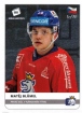2020 Stick with czech hockey silver #37 Blmel Matj	1/10
