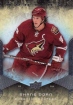 2008-09 Upper Deck Ovation #88 Shane Doan