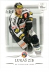 2014-15 OFS Classic Series / Zb Luk