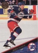 1993/1994 Leaf / Darrin Shannon