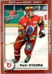 2006-07 Czech OFS All Stars #13 Petr Skora