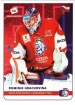 2020 Stick with czech hockey #19 Hrachovina Dominik