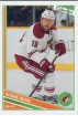 2013/2014 O-Pee-Chee / Shane Doan