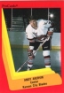 1990/1991 ProCards AHL/IHL / Andy Akervik