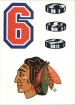 1989-90 Topps Sticker Inserts #21 Chicago Blackhawks