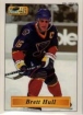 1995/1996 Imperial Stickers / Brett Hull