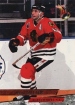 1993-94 Ultra #206 Brent Sutter