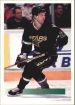 1994-95 OPC Premier #261 Paul Broten