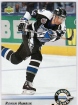 1992-93 Upper Deck #555 Roman Hamrlk