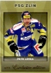 2012-13 OFS Exclusive / Leka Petr 