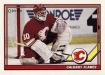 1991-92 O-Pee-Chee #247 Calgary Flames