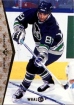 1994-95 SP #49  Darren Turcotte