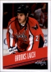 2014-15 Panini Stickers #225 Brooks Laich