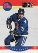 1990-91 Pro Set #248 Tony Hrkac