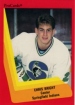 1990/1991 ProCards AHL/IHL / Chris Bright
