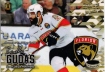 Fan serie Hero of the Moments Radko Gudas