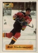 1995/1996 Imperial Stickers / Rob Niedermayer