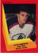 1990/1991 ProCards AHL/IHL / Peter Hankinson