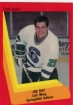1990/1991 ProCards AHL/IHL / Joe Day