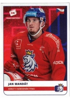 2020 Stick with czech hockey #40 Mandt Jan