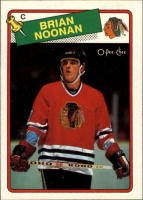 1988-89 O-Pee-Chee #165 Brian Noonan RC