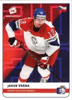 2020 Stick with czech hockey #4 Vrna Jakub