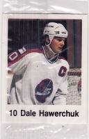 1988/1989 Frito-Lay Stickers / Dale Hawerchuk