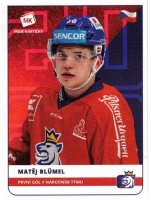 2020 Stick with czech hockey #37 Blmel Matj