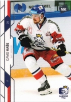 2021 MK Czech Ice Hockey Team #15 Kae David