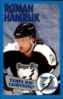 1996-97 Panini Stickers #123 Roman Hamrlk