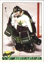 1993-94 OPC Premier #399 Darcy Wakaluk