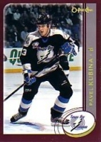 2002-03 O-Pee-Chee Factory Set #247 Pavel Kubina