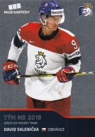 2019-20 MK Czech Ice Hockey Team Base Set #51 David Sklenika